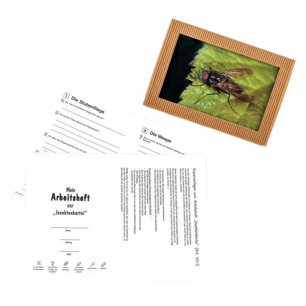 Arbeitsheft zur Insektenkartei