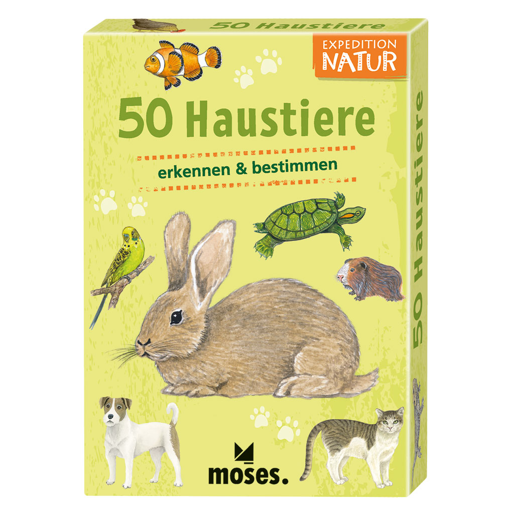 Auf diesem Bild ist das Produkt mit der Art.Nr.: W-84141 zu sehen