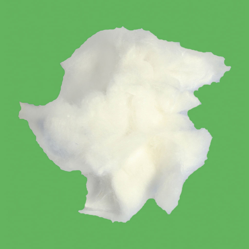 temp90613_a2zJ48WXWCAooc Füllwatte, Weiß, 250 g