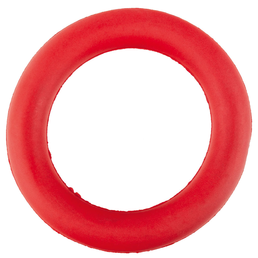 Moosgummiringe, 6 Stück