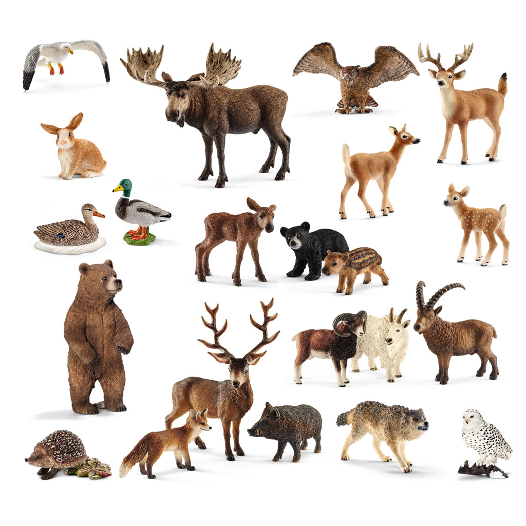 Schleich® Heimische Wildtiere im Set