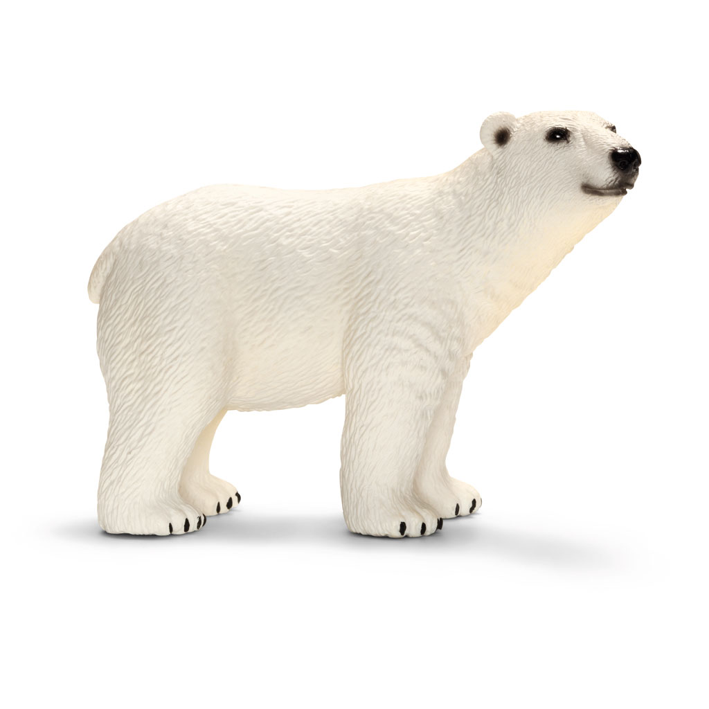 temp81902-schleich-tier-eisbaermjmZ50TX1acQE Schleich® Wildtiere im Set