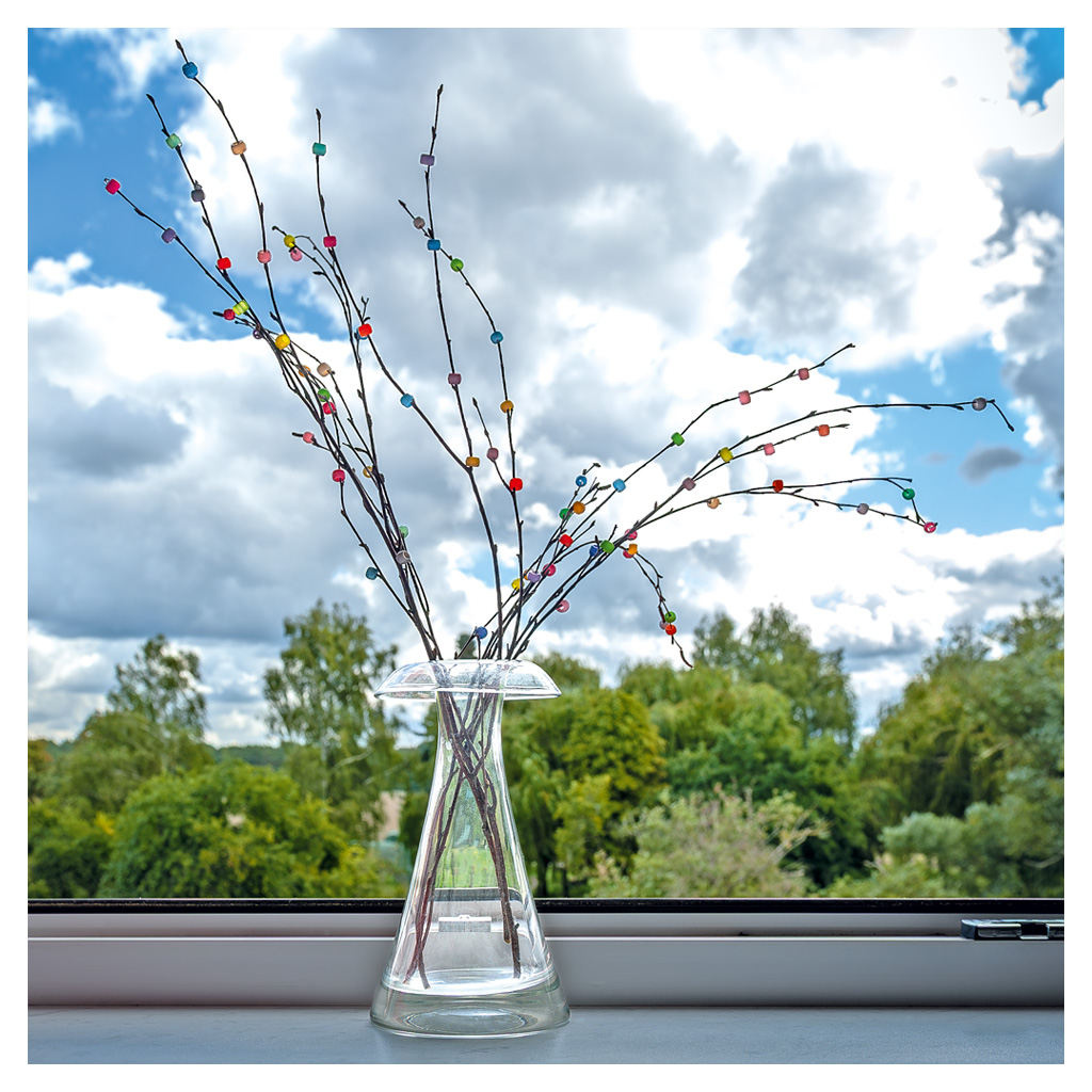 Birkenzweige zum Basteln