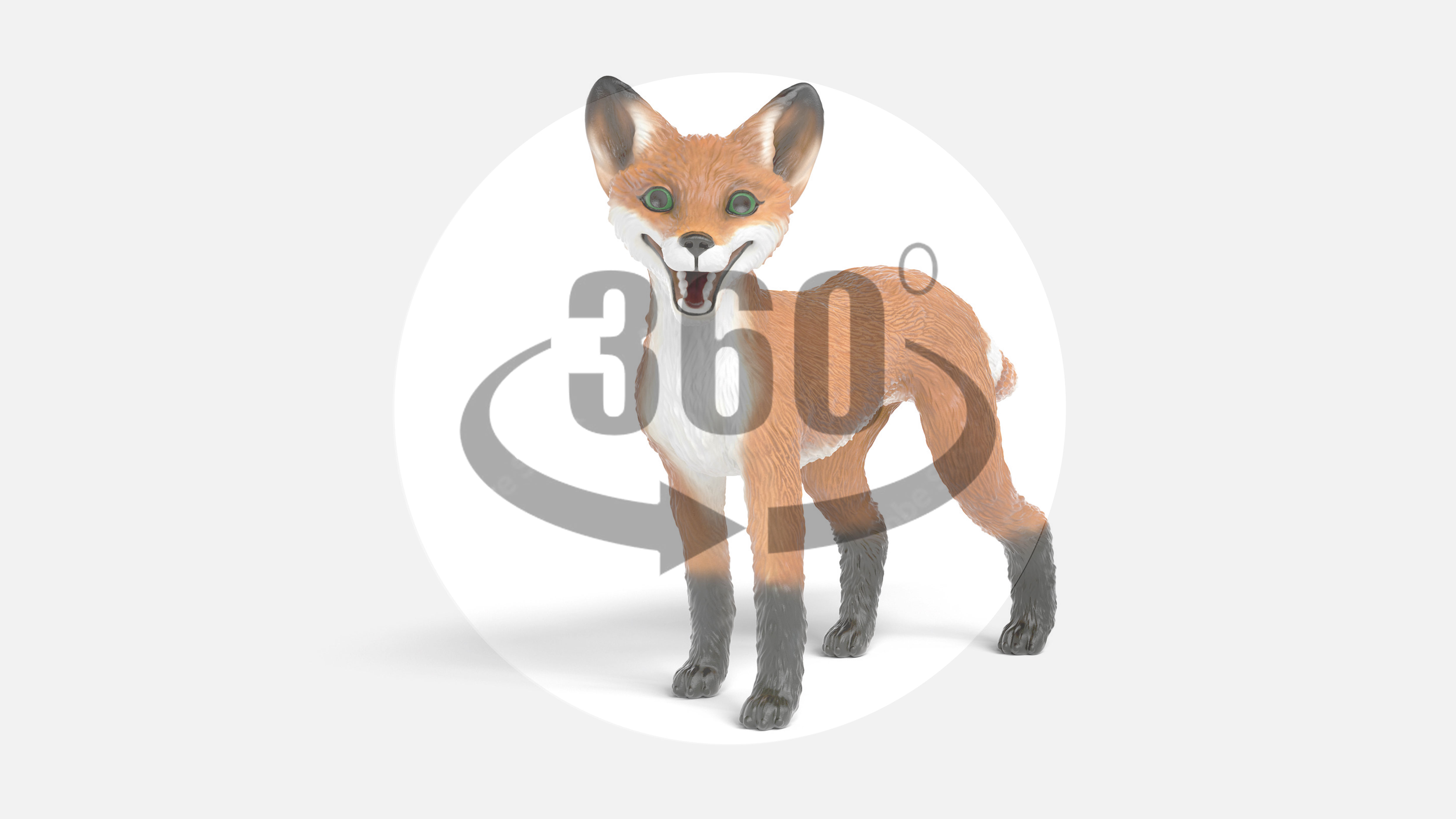 Video_zu_W-83659_Schleich_Rabbat-der-Fuchs_360Grad