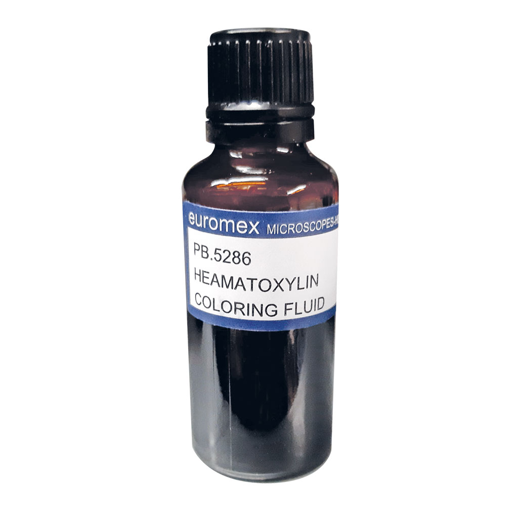 Auf diesem Bild ist das Produkt mit der Art.Nr.: W-21593 zu sehen