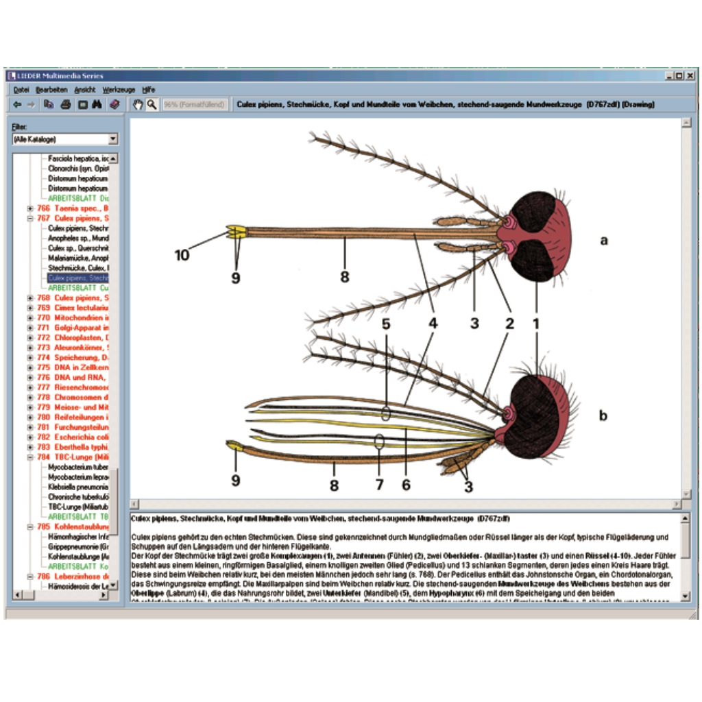 tempcd075mikroaufnahmenschulseriedfCOF8ULGyHtC6 Mikroaufnahmen zur Schulserie D