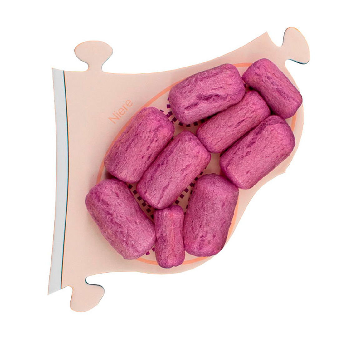 PlayMais® Anatomie-Puzzle
