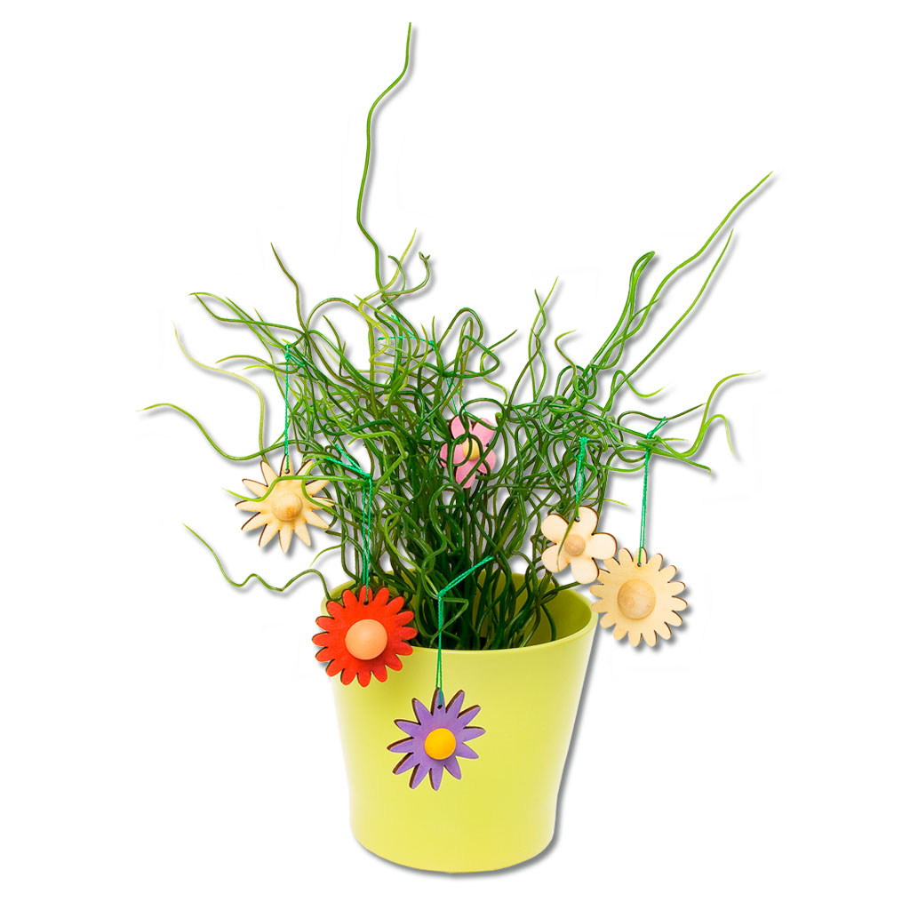 Holzanhänger Frühling groß, blanko, 3 Stück