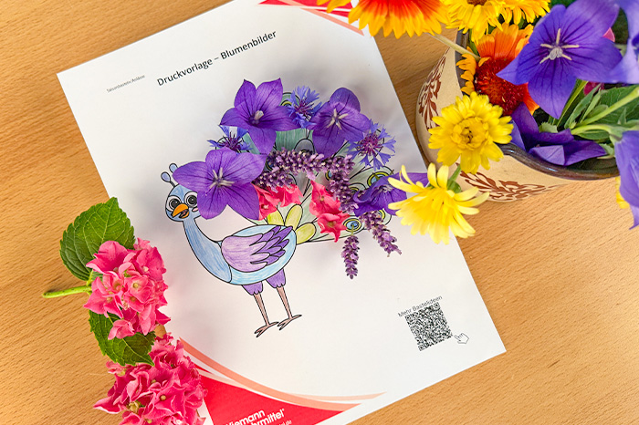 Auf diesem Bild ist blumenbilder zu sehen
