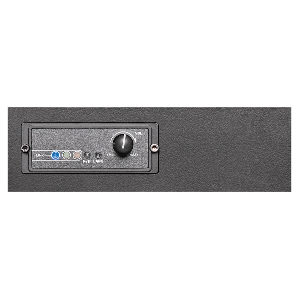 RCS® Bluetooth-Player-Modul DSM-100 BT