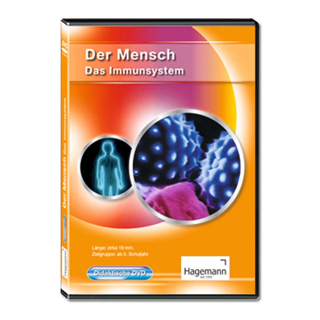 Der Mensch: Das Immunsystem