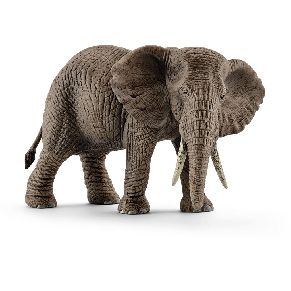 temp81904-schleich-tier-elefantvIJwiG7AbrJbt Schleich® Wildtiere im Set