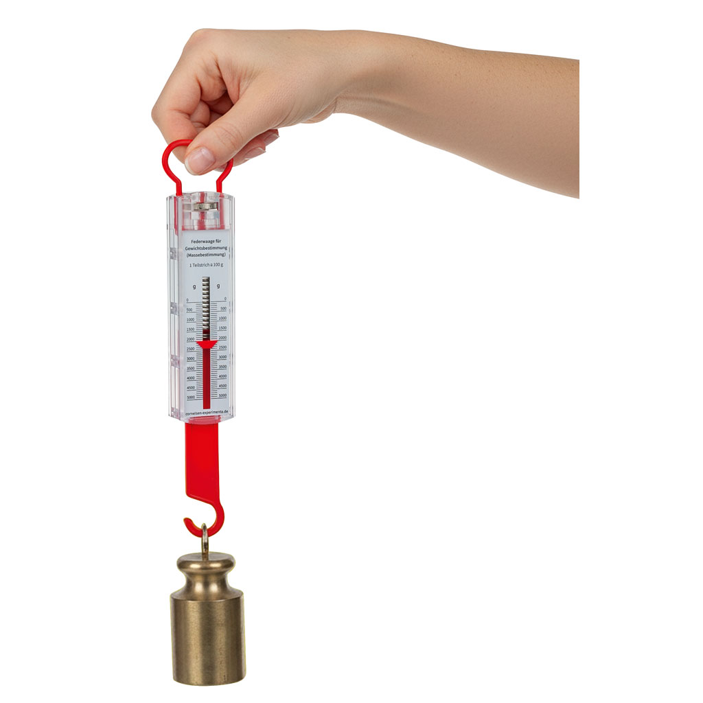 Auf diesem Bild ist das Produkt mit der Art.Nr.: W-72449 zu sehen