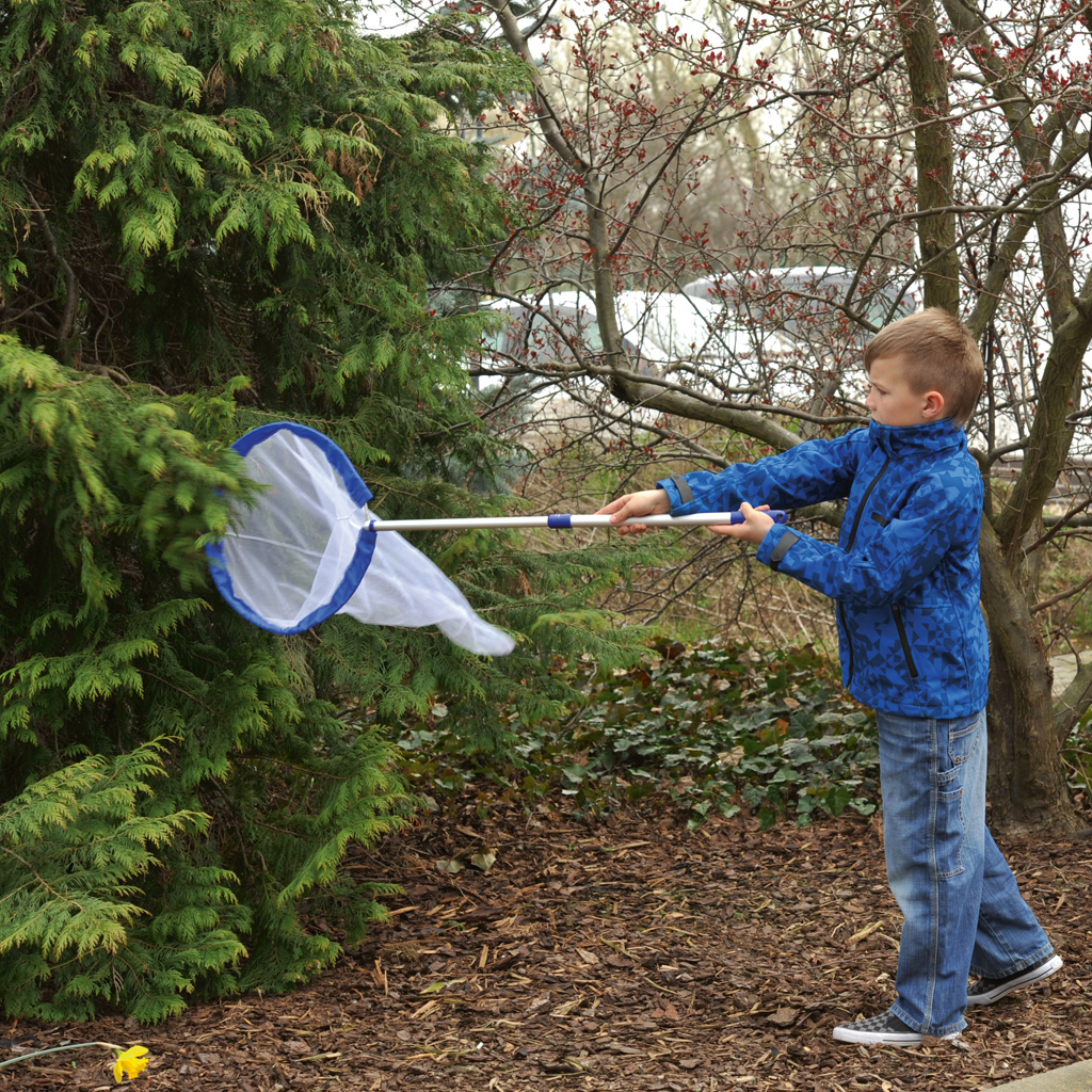 temp22606xMTV7qxiQB5BJ Insekten-Schmetterlings-Fangnetz mit Stiel