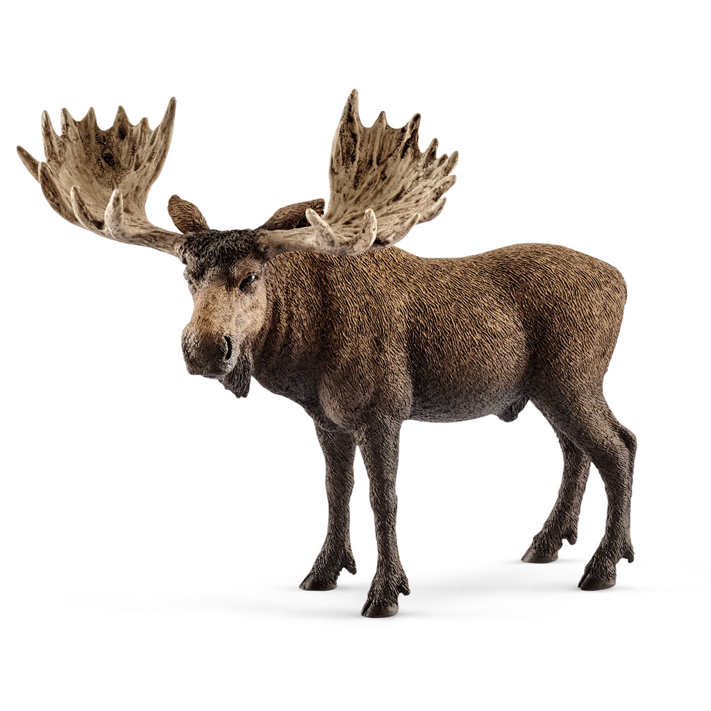 temp81888-schleich-tier-elchINuExEreKJjm2 Schleich® Heimische Wildtiere im Set