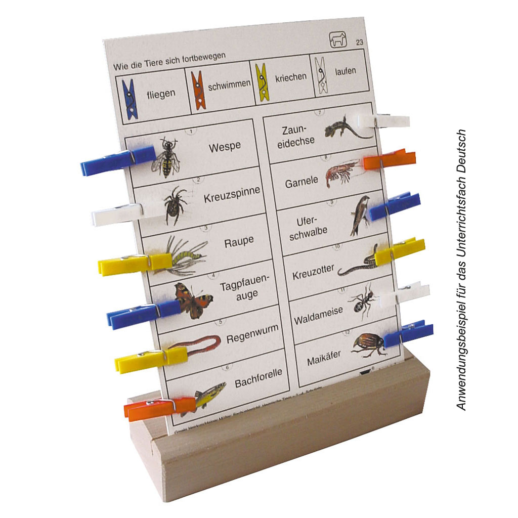 Bergedorfer® Colorclips Noten und Musikinstrumente Bergedorfer® Colorclips Noten und Musikinstrumente