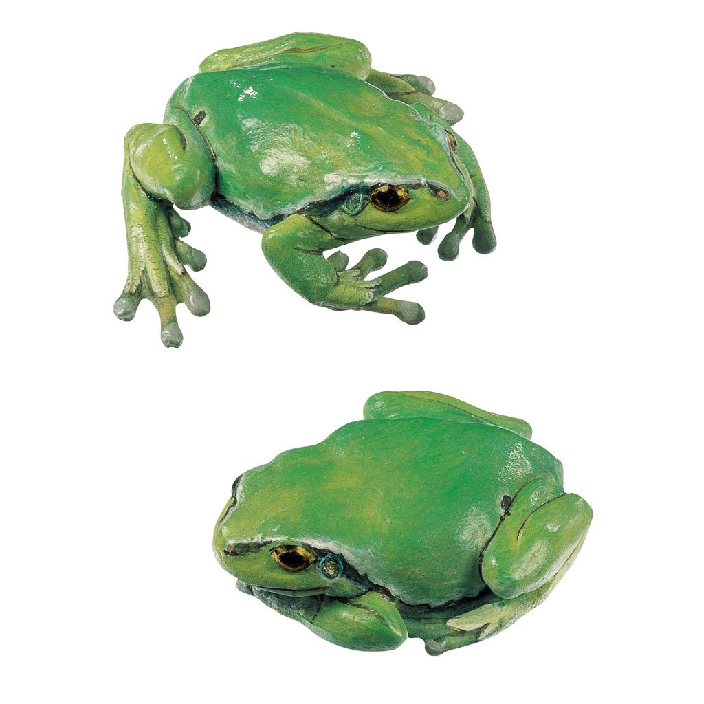 Laubfrosch, weiblich, 2 Modelle