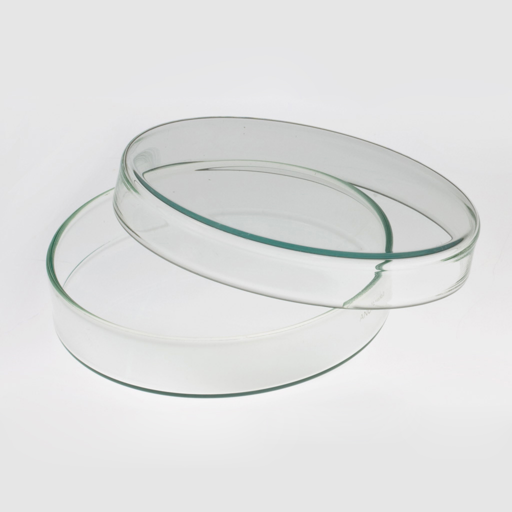 temp51010_ff1ByA7LXZZOpTR Petrischale, Kunststoff