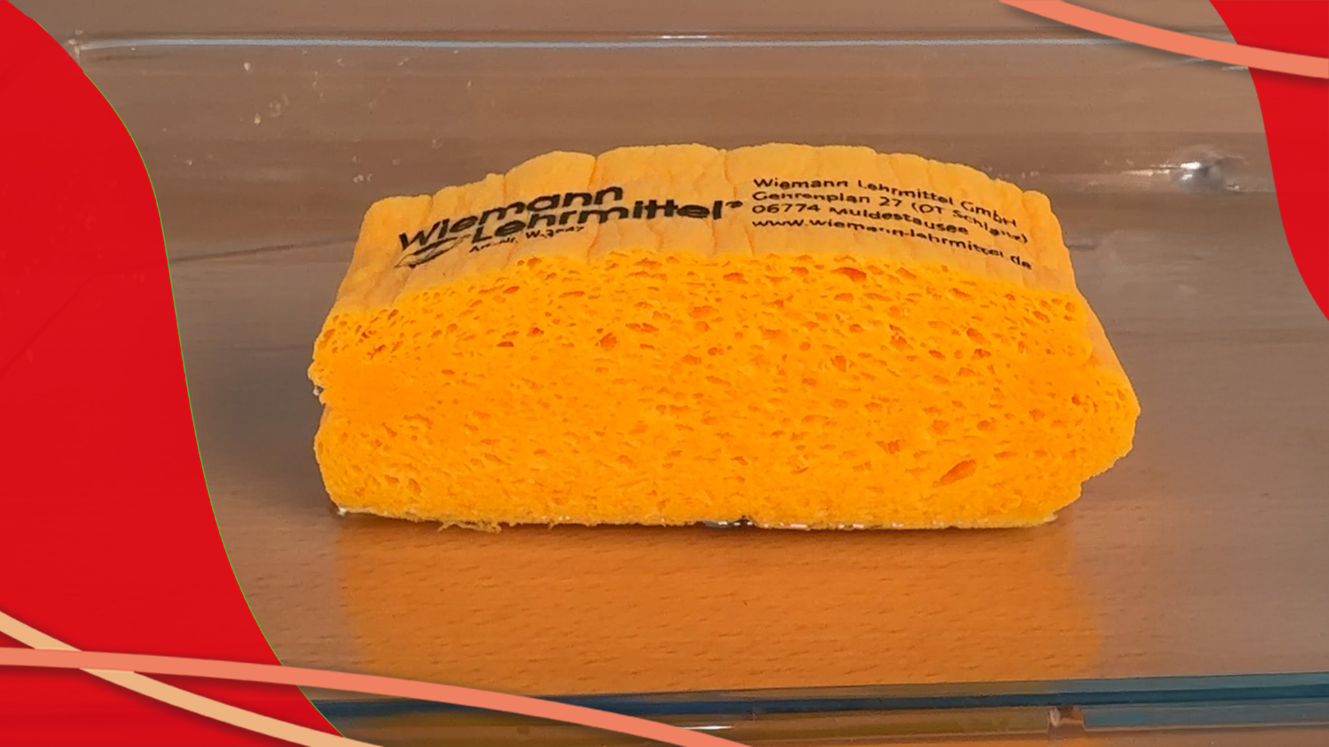 20251015_W-3547_Quellschwamm_Wiemann-Lehrmittel Video_zu_20251015_W-3547_Quellschwamm_Video_zu_Wiemann-Lehrmittel