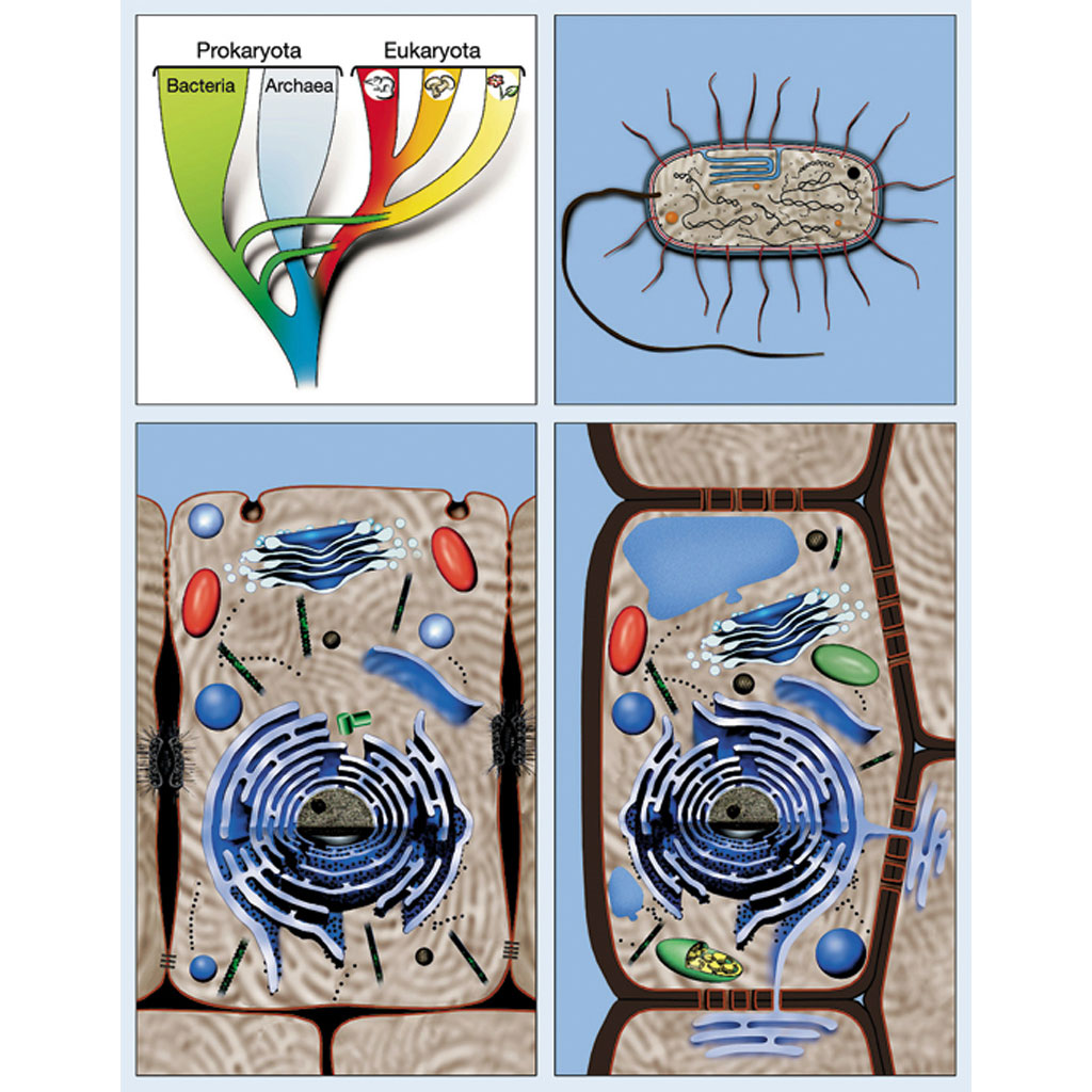 temp223091vYPpd6few0a2 Zellbiologie