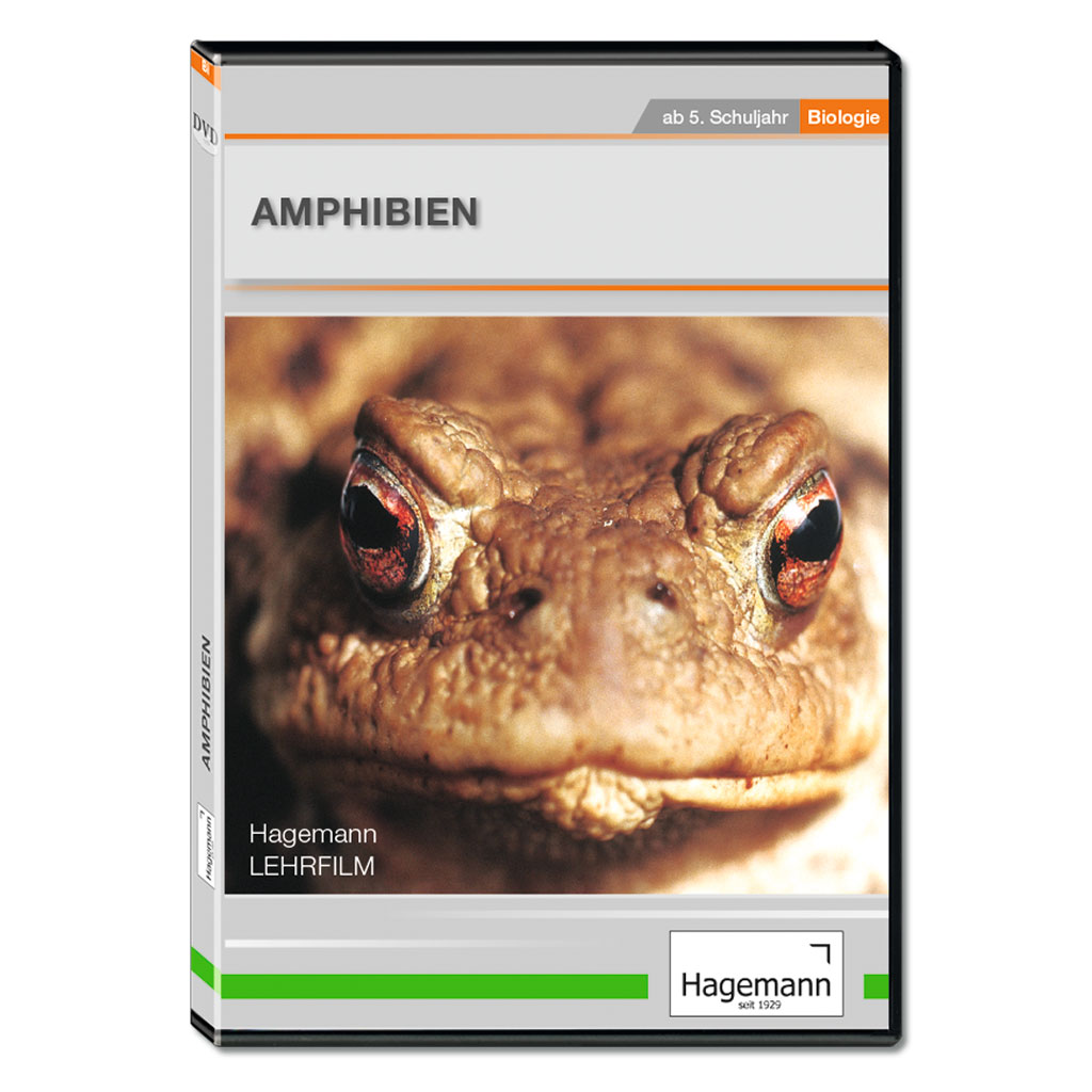 Amphibien