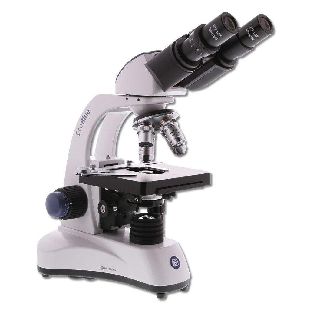 Binokulares Mikroskop EcoBlue WL 105 LED – 40x bis 1000x Vergrößerung