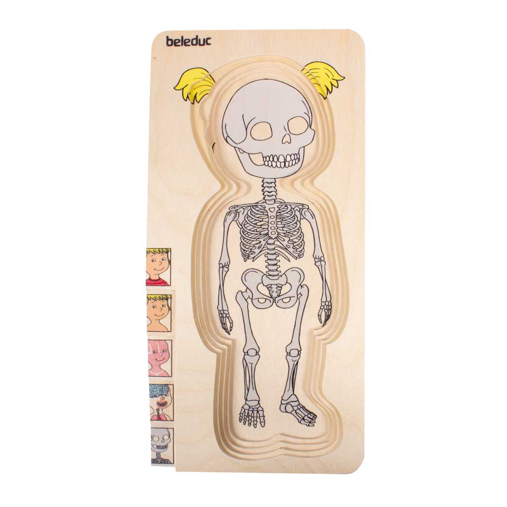 Lagenpuzzle „Körper“