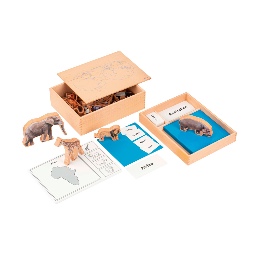 Nienhuis Montessori® Kontinentkiste