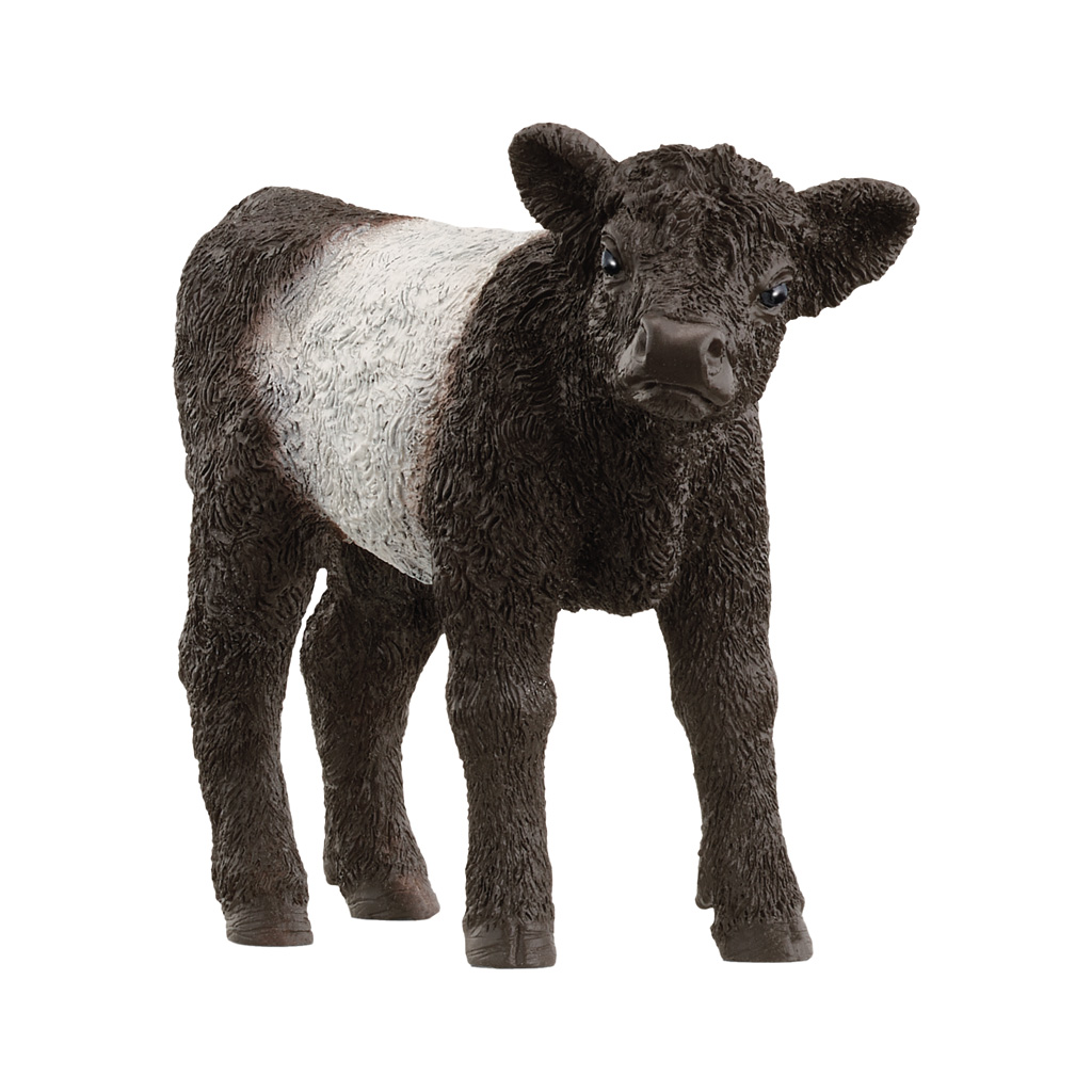 Schleich® Galloway-Kalb