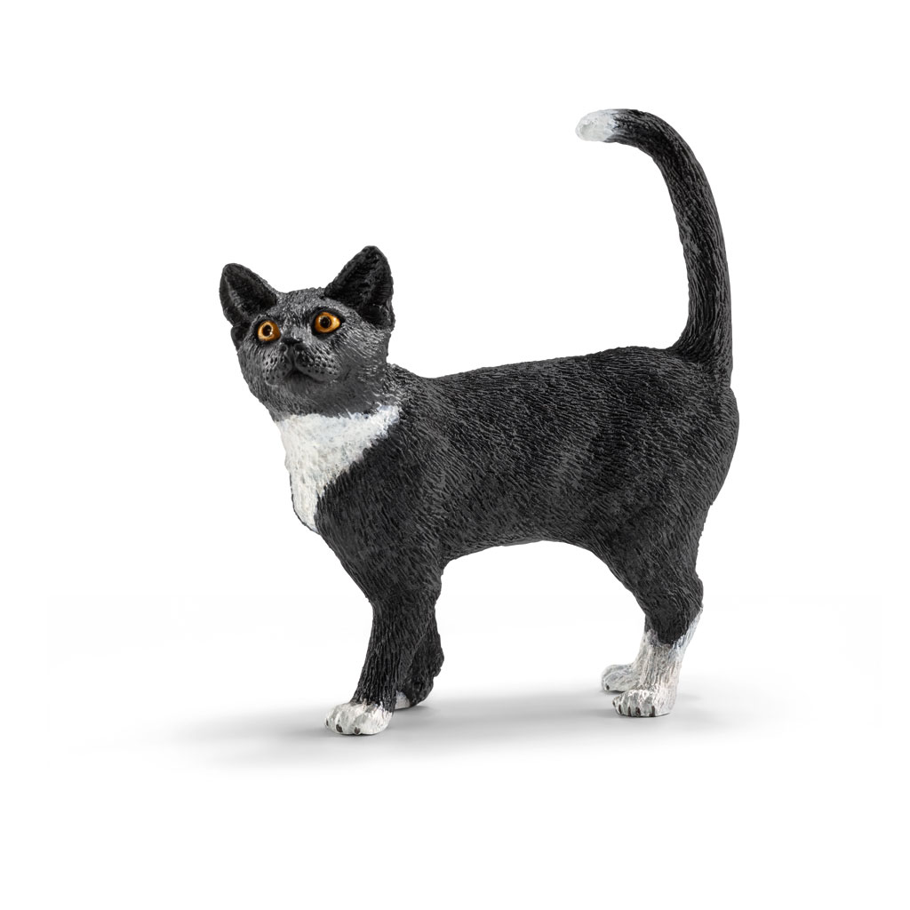 temp81933-schleich-katze-stehendKahp2B8gJlMA6 Auf diesem Bild ist das Produkt mit der Art.Nr.: W-81933 zu sehen