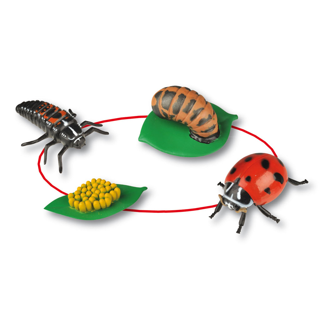 temp22323WcvzzfSbsXv8m Auf diesem Bild ist das Produkt mit der Art.Nr.: W-22323 zu sehen