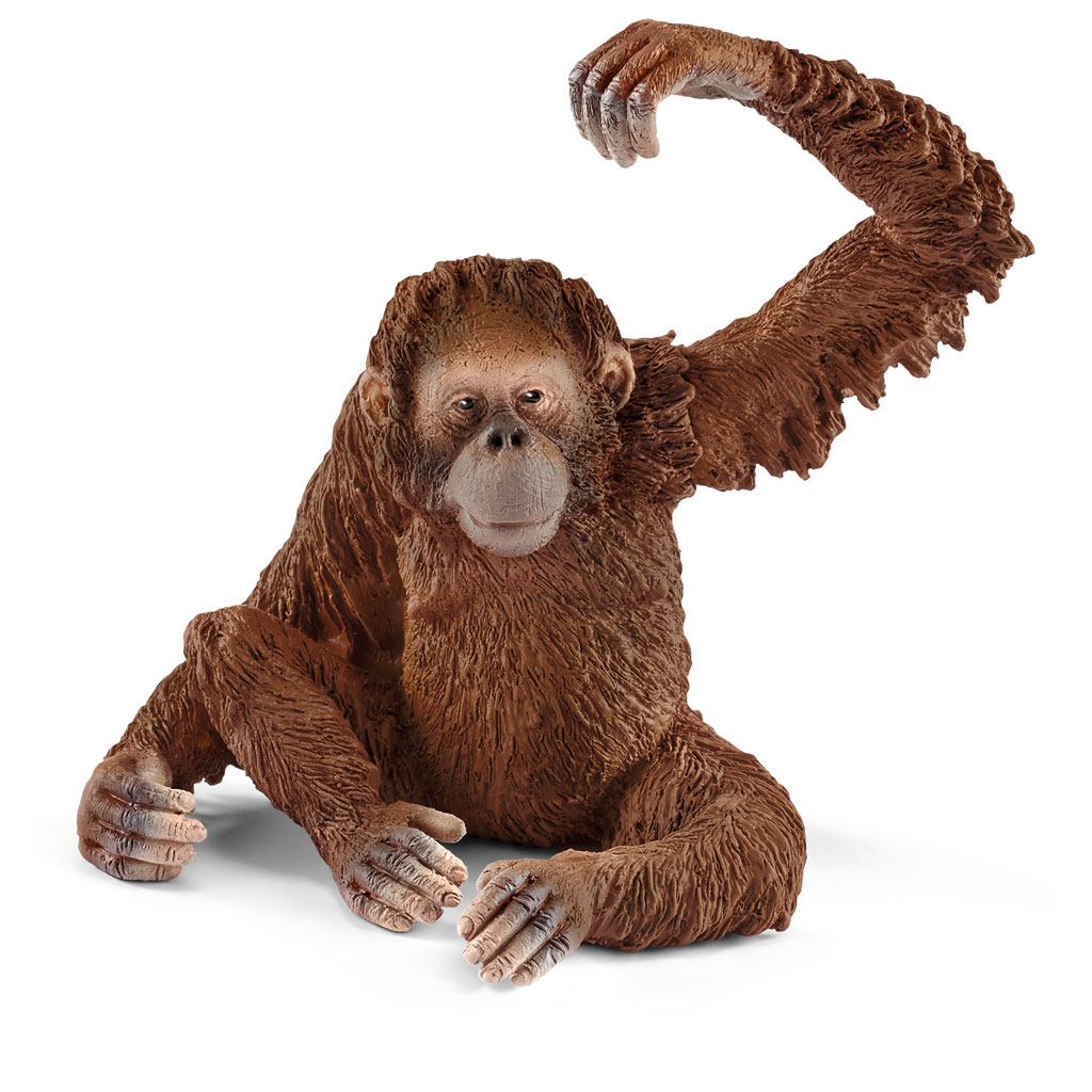 temp81911-schleich-tier-orang-utanotyTuKwILAMGk Schleich® Wildtiere im Set