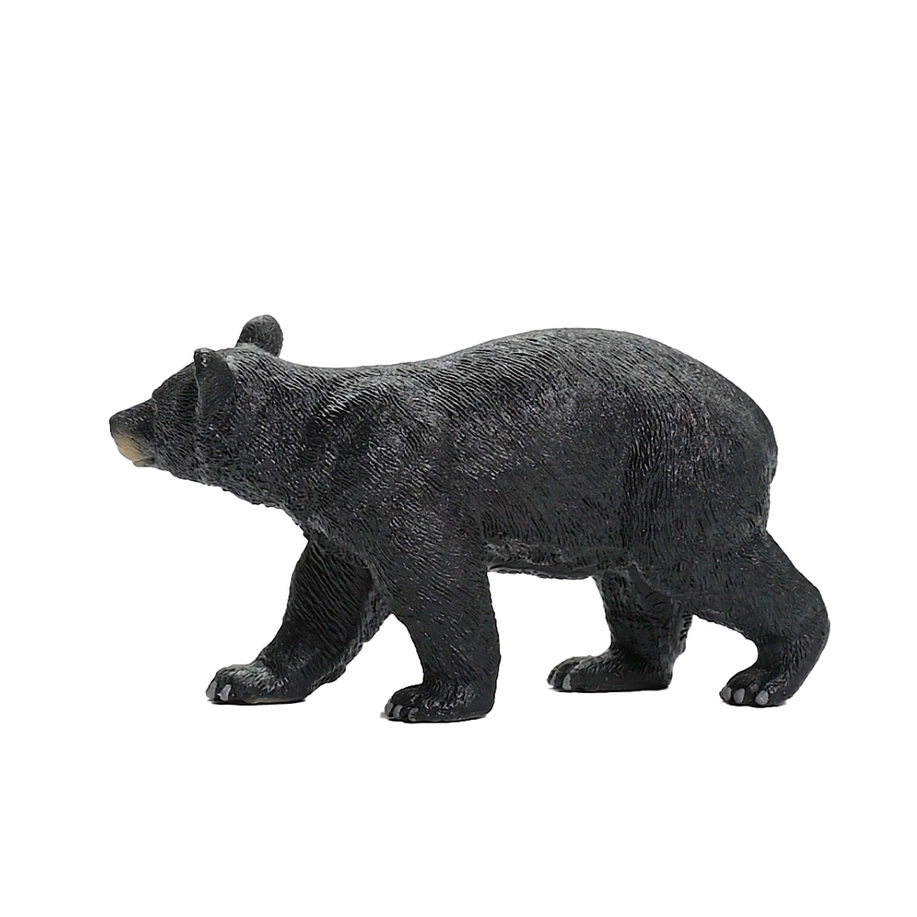 Amerikanischer Schwarzbär