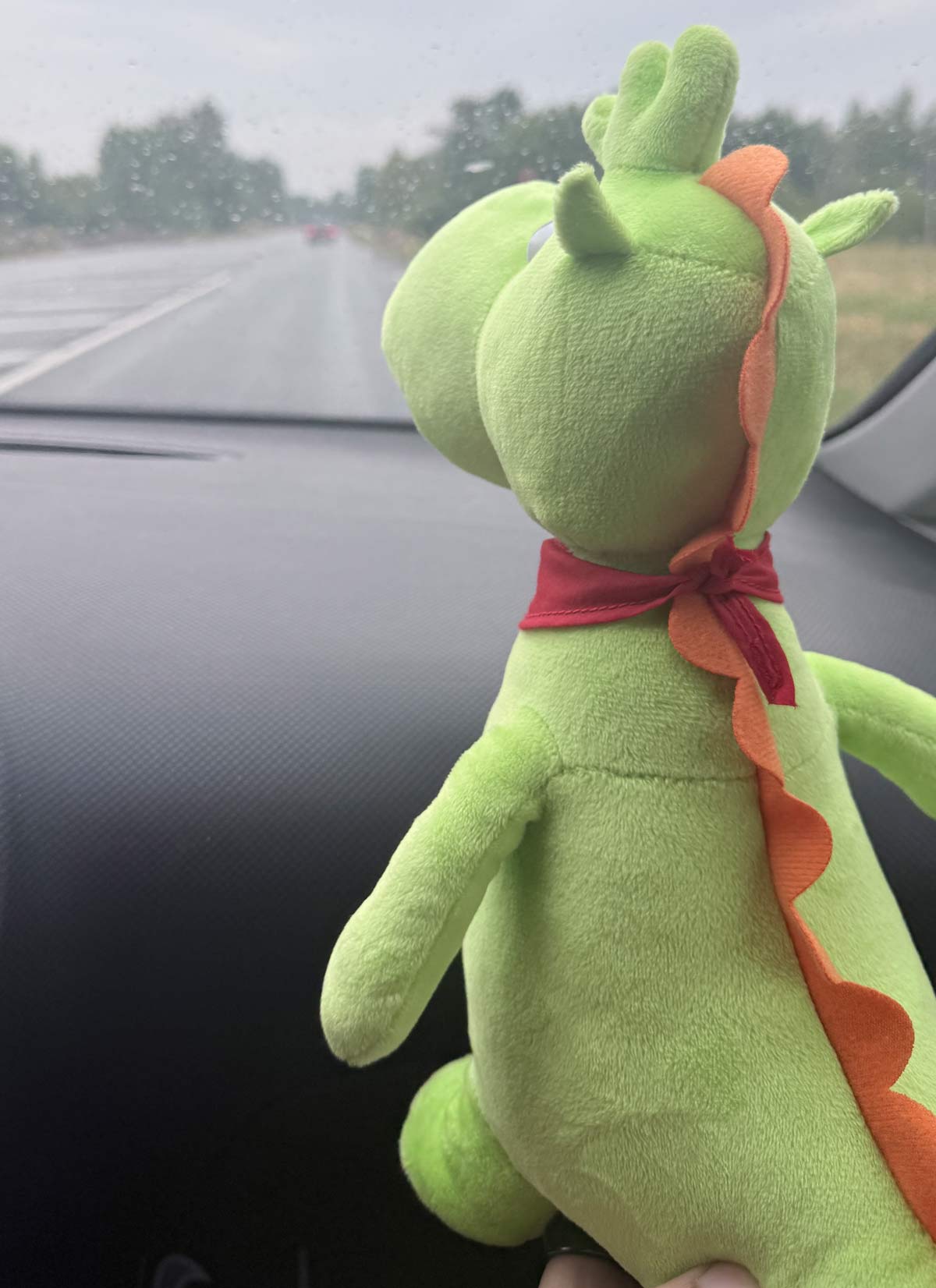 Flippi im Auto