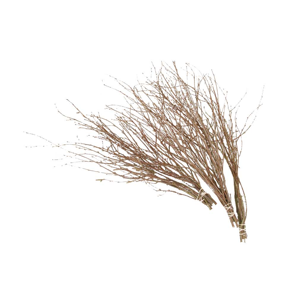 temp93200_birkenzweigeTiIOCzlsxssCb Auf diesem Bild ist das Produkt mit der Art.Nr.: W-93200 zu sehen