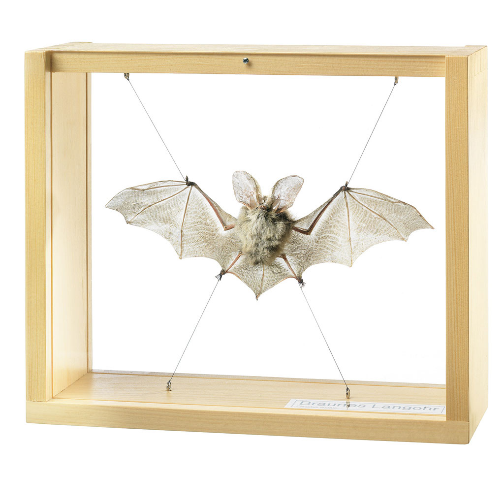 temp22402tIeS4729DxtOR Auf diesem Bild ist das Produkt mit der Art.Nr.: W-22402 zu sehen