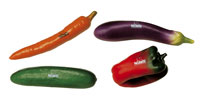 Shaker-Set "Gemüse"