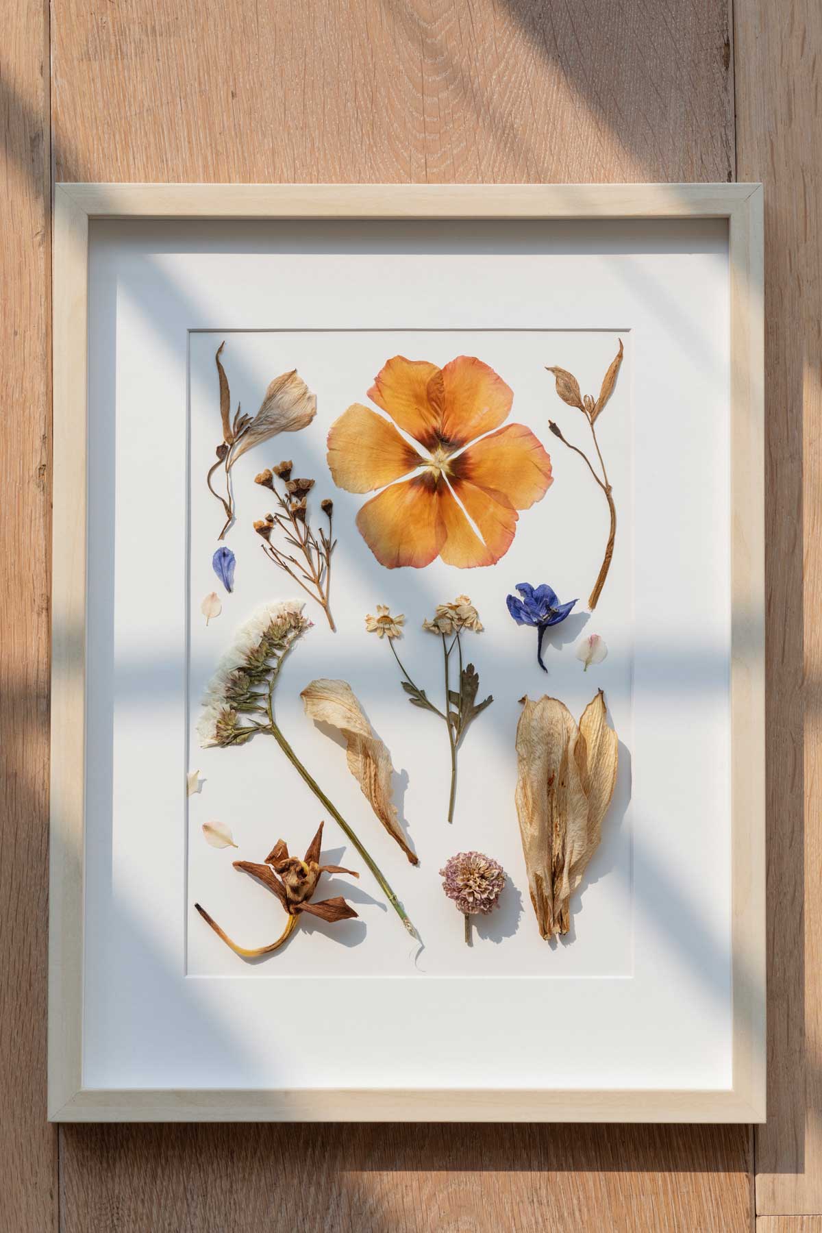 Getrocknete-Blumen-in-Bilderrahmen