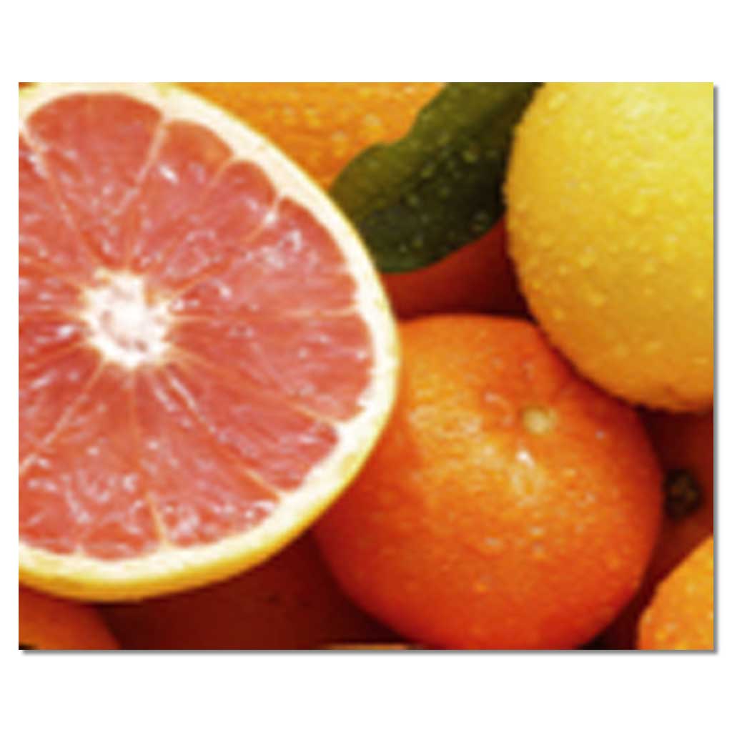 Großer Bogen Transparentpapier mit Muster