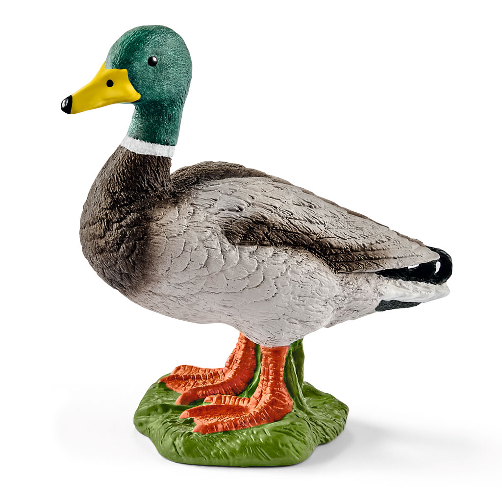 temp81890-schleich-tier-erpelRk9kedLhoHBlY Schleich® Heimische Wildtiere im Set
