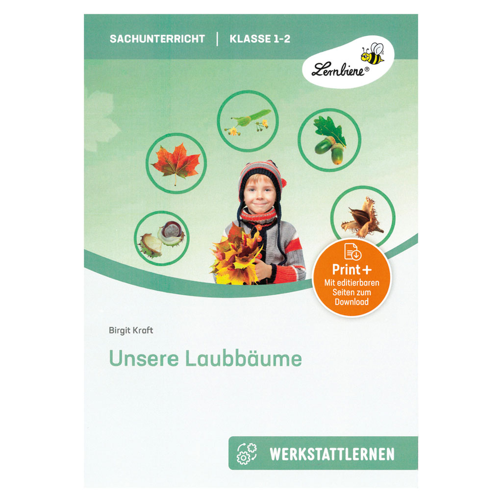 Unsere Laubbäume