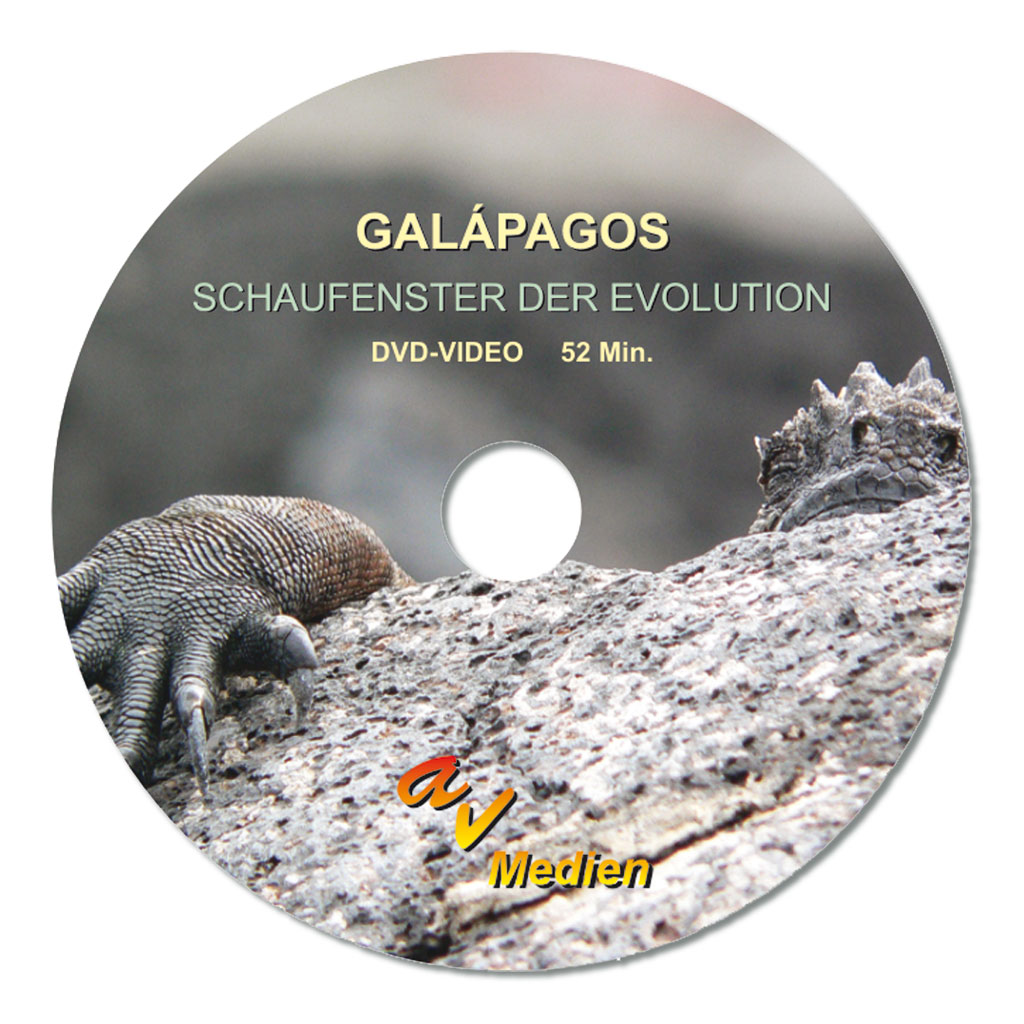 Galápagos – Schaufenster der Evolution