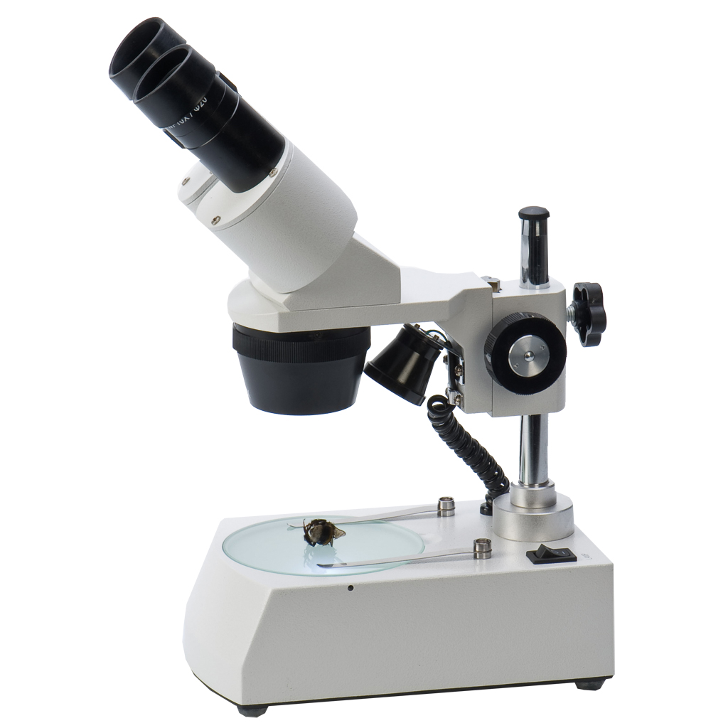 Stereomikroskop ST-30-LED – 20x bis 40x Vergrößerung