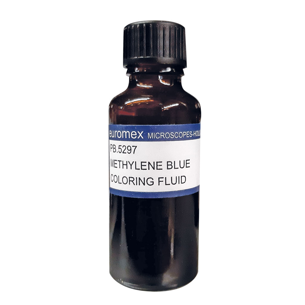 Auf diesem Bild ist das Produkt mit der Art.Nr.: W-21597 zu sehen