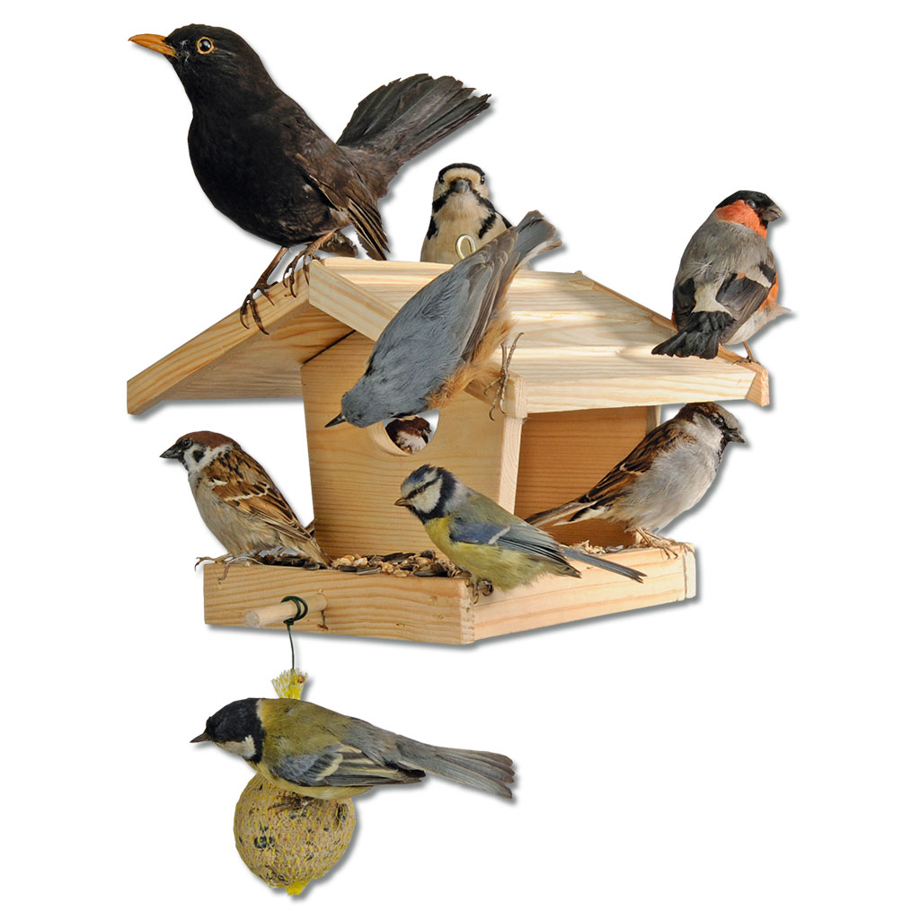 temp92674-futterhausvFdQVH6DP4rlR Futterhaus für Vögel – Holz-Bausatz für Kinder