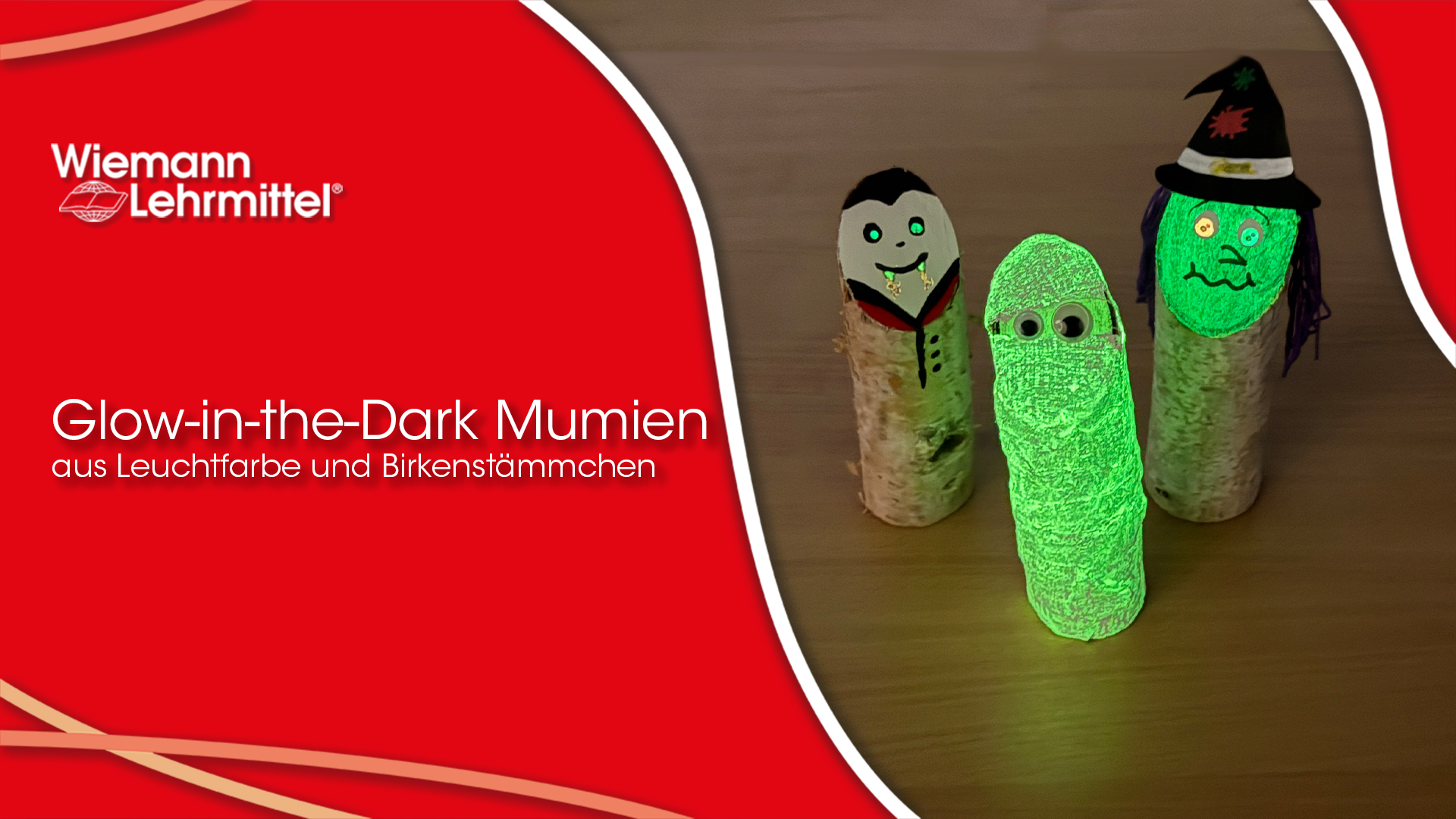 Video_zu_W-91849_W-92190_Birkenstammchen_Leucht_Mumie_Wiemann-Lehrmittel