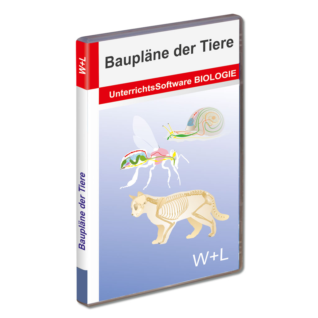 Baupläne der Tiere