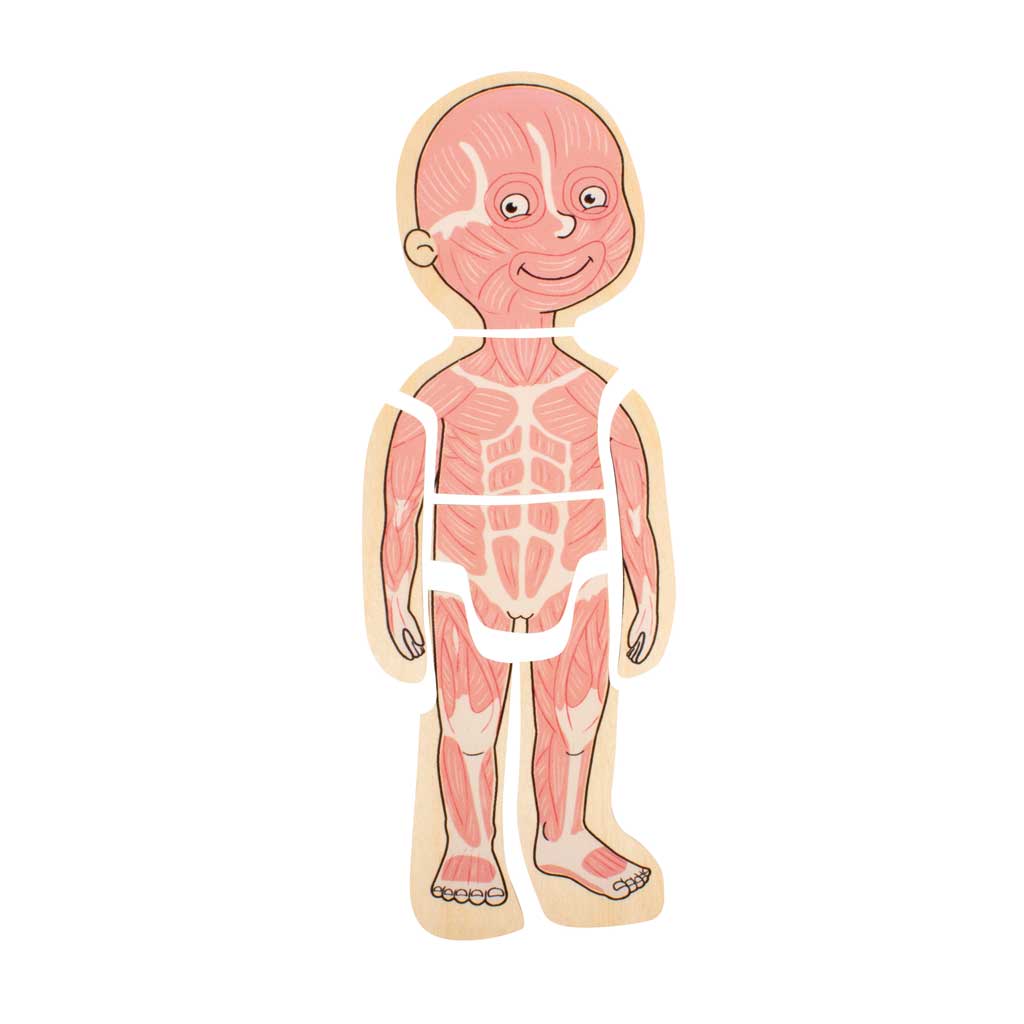 Lagenpuzzle „Körper“