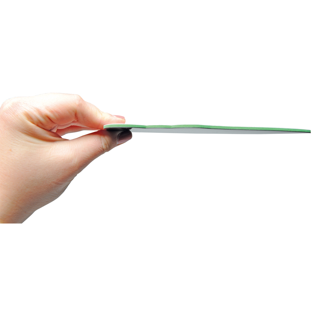 Vom Ei zum Schmetterling Vom Ei zum Schmetterling