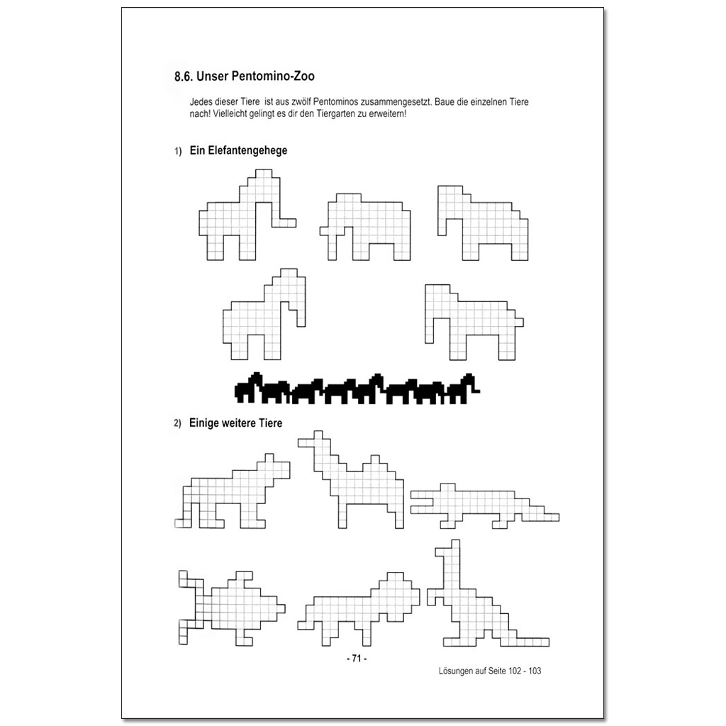 temp30447_4KD8KNp7nRmcCJ Das Pentomino - Buch
